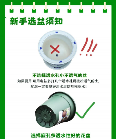 养花的旧土,如何重复利用,避免浪费资源 养花的旧土,如何重复利用,避免浪费资源