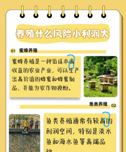 养殖什么成本低利润高,常见选择分析,帮你快速判断 养殖什么成本低利润高,常见选择分析,帮你快速判断