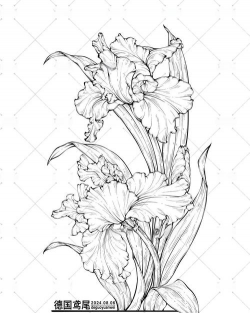 花卉线稿素材,免费下载渠道,提升绘画效率 花卉线稿素材,免费下载渠道,提升绘画效率