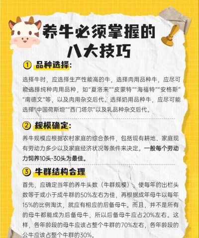 养殖牛要多少成本,投入预算分析,新手避坑指南 养殖牛要多少成本,投入预算分析,新手避坑指南