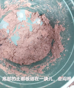 炉灰渣养花,改善土壤,提升植物生长 炉灰渣养花,改善土壤,提升植物生长