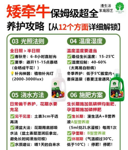 认识花卉,从入门到精通,轻松掌握养护技巧 认识花卉,从入门到精通,轻松掌握养护技巧