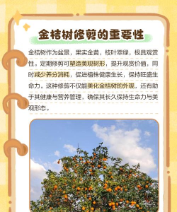 盆景橘子树怎么养殖,掌握关键技巧,轻松养出好状态 盆景橘子树怎么养殖,掌握关键技巧,轻松养出好状态