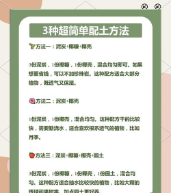 用什么土养花,土壤选择要点,新手避坑指南 用什么土养花,土壤选择要点,新手避坑指南