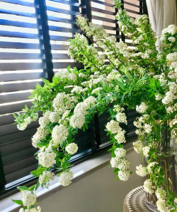 水晶球养花,轻松上手,美化家居 水晶球养花,轻松上手,美化家居