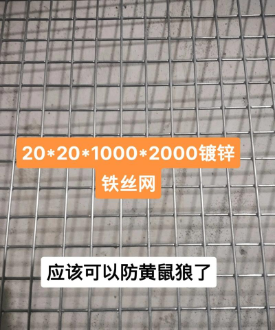 肉鸽养殖大棚设计图,规划要点,实用参考 肉鸽养殖大棚设计图,规划要点,实用参考