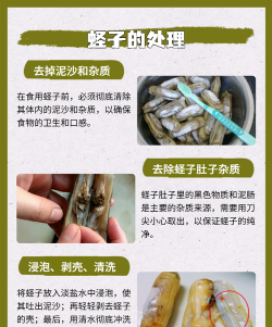 池塘蛏子养殖技术,掌握关键步骤,提升养殖效益 池塘蛏子养殖技术,掌握关键步骤,提升养殖效益