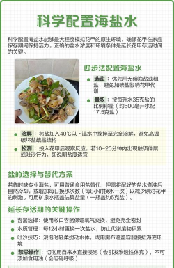 养花甲的盐水比例,调配方法,存活关键 养花甲的盐水比例,调配方法,存活关键