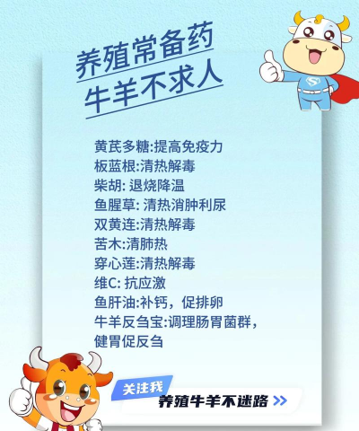 中国牛羊养殖网,信息查询平台,养殖户实用指南 中国牛羊养殖网,信息查询平台,养殖户实用指南