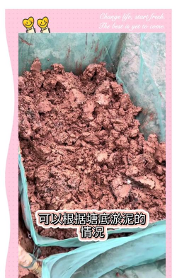 鳝鱼网箱养殖技术,掌握关键要点,提升养殖效益 鳝鱼网箱养殖技术,掌握关键要点,提升养殖效益