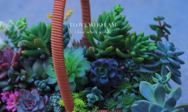 竹篮养花,创意种植,家居点缀新选择 竹篮养花,创意种植,家居点缀新选择