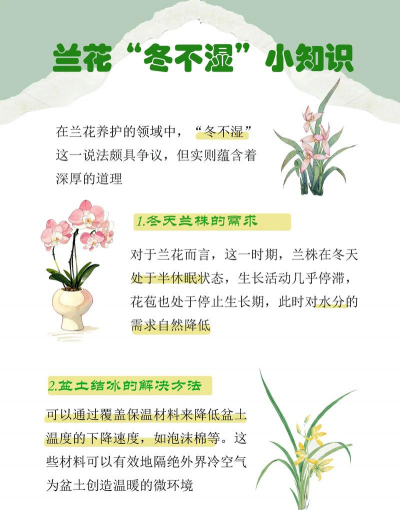 养花看养花,新手入门指南,轻松掌握技巧 养花看养花,新手入门指南,轻松掌握技巧