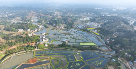 潼南小龙虾养殖基地,选址关键,技术要点 潼南小龙虾养殖基地,选址关键,技术要点
