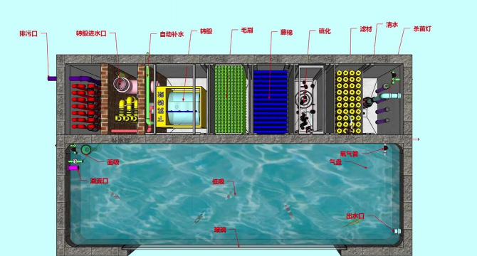 黄鳝养殖池的建造图,设计要点解析,新手避坑指南 黄鳝养殖池的建造图,设计要点解析,新手避坑指南