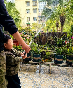 养花的爸爸,家庭园艺乐趣,亲子互动时光 养花的爸爸,家庭园艺乐趣,亲子互动时光