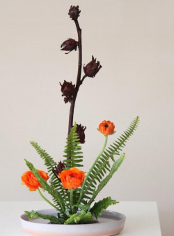 养花课后题,常见问题解析,实用技巧分享 养花课后题,常见问题解析,实用技巧分享