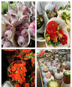 苗木花卉市场,选购技巧,避坑指南 苗木花卉市场,选购技巧,避坑指南