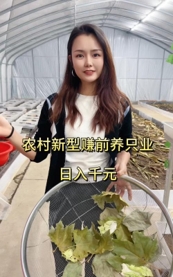 适合农村的特色养殖,选对项目,轻松增收 适合农村的特色养殖,选对项目,轻松增收