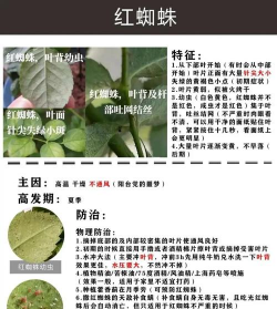 养花课后题,常见疑问,解答方向 养花课后题,常见疑问,解答方向