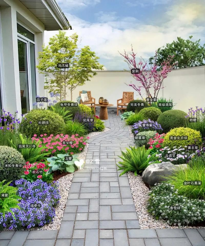 在家里养花,新手入门指南,轻松打造小花园 在家里养花,新手入门指南,轻松打造小花园