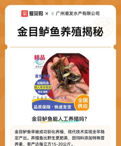 鲈鱼的养殖温度要求,影响生长速度,决定养殖成败 鲈鱼的养殖温度要求,影响生长速度,决定养殖成败