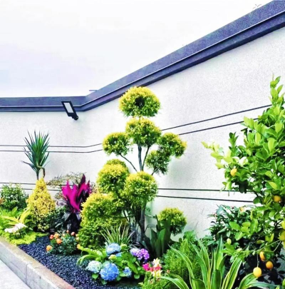 养花设计图,打造专属花园,提升生活美感 养花设计图,打造专属花园,提升生活美感