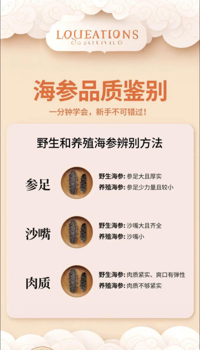 海参怎么分辨野生和养殖,掌握核心方法,避免高价买错 海参怎么分辨野生和养殖,掌握核心方法,避免高价买错
