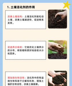 马粪养花,提升土壤肥力,促进植物生长 马粪养花,提升土壤肥力,促进植物生长