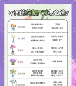 养花数量,多少合适,怎么安排 养花数量,多少合适,怎么安排