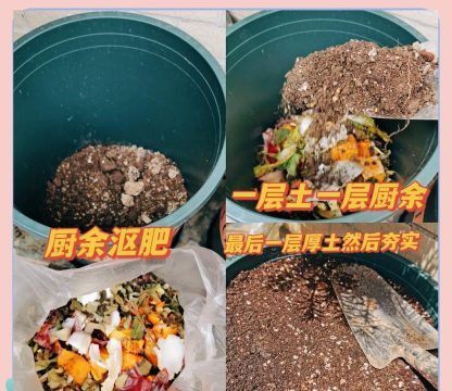 养花沤肥,自制有机肥,省钱又环保 养花沤肥,自制有机肥,省钱又环保