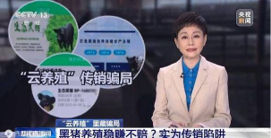 广西黑豚养殖骗局,识别常见套路,避免投资陷阱 广西黑豚养殖骗局,识别常见套路,避免投资陷阱