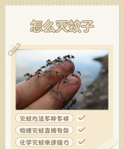 养殖场蚊子太多怎么办,驱蚊方法盘点,环境管理是关键 养殖场蚊子太多怎么办,驱蚊方法盘点,环境管理是关键
