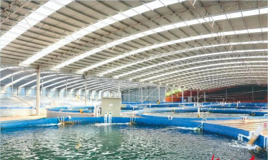 工厂化水产养殖桶,提升养殖效率,优化养殖环境 工厂化水产养殖桶,提升养殖效率,优化养殖环境