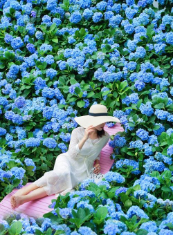 会养花的女人,自带光芒,生活充满诗意 会养花的女人,自带光芒,生活充满诗意