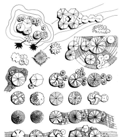 花卉平面图,设计要点,布局技巧 花卉平面图,设计要点,布局技巧