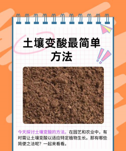 酸性养花土,改善土壤酸碱度,促进植物健康生长 酸性养花土,改善土壤酸碱度,促进植物健康生长