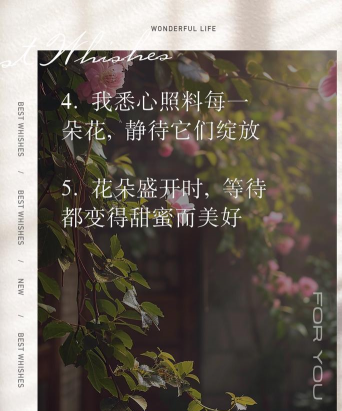 养花一句话经典感悟,分享心得,传递美好 养花一句话经典感悟,分享心得,传递美好