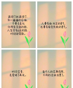 养花一句话经典感悟,分享生活智慧,传递美好心情 养花一句话经典感悟,分享生活智慧,传递美好心情