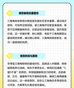 养花 枯枝,常见问题,解决方向 养花 枯枝,常见问题,解决方向