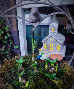 铁盒养花,创意盆栽,打造个性小花园 铁盒养花,创意盆栽,打造个性小花园