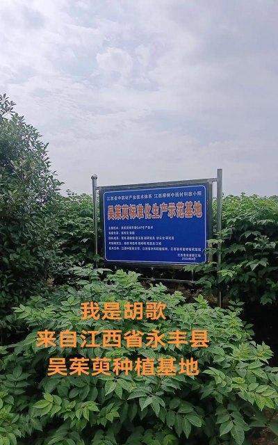 中国中药材种植养殖网,了解行业信息,获取专业指导 中国中药材种植养殖网,了解行业信息,获取专业指导