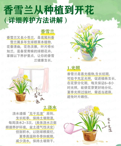 怎样养花卉,新手入门指南,轻松养好花 怎样养花卉,新手入门指南,轻松养好花