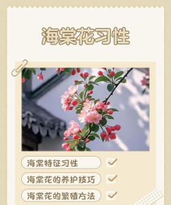 女人爱养花说明什么,性格特点分析,心理需求解读 女人爱养花说明什么,性格特点分析,心理需求解读