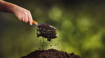 粪肥养花,提升土壤肥力,促进植物生长 粪肥养花,提升土壤肥力,促进植物生长