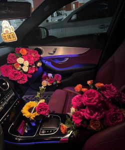 汽车里养花,提升车内氛围,注意安全细节 汽车里养花,提升车内氛围,注意安全细节