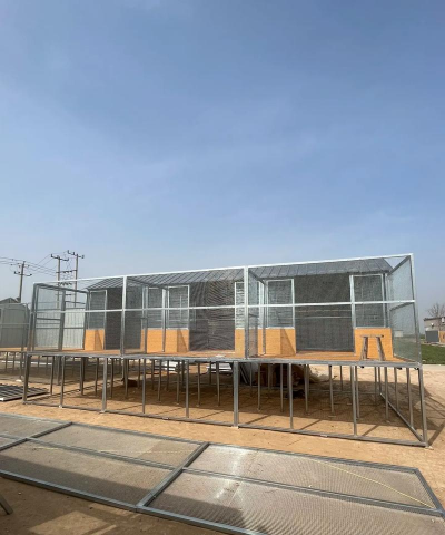 鸽子养殖大棚的设计养鸽大棚,合理规划布局,提升养殖效率 鸽子养殖大棚的设计养鸽大棚,合理规划布局,提升养殖效率