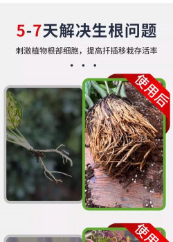 花卉生根剂,促进根系生长,提高成活率 花卉生根剂,促进根系生长,提高成活率