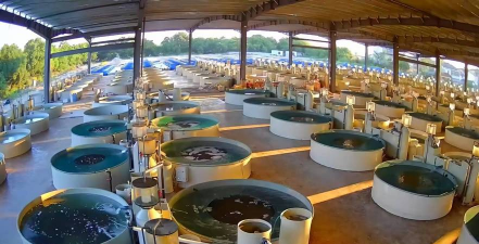 新型水产养殖设备,提升养殖效率,降低人工成本 新型水产养殖设备,提升养殖效率,降低人工成本