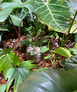 建筑沙养花,改善土壤透气,促进根系生长 建筑沙养花,改善土壤透气,促进根系生长