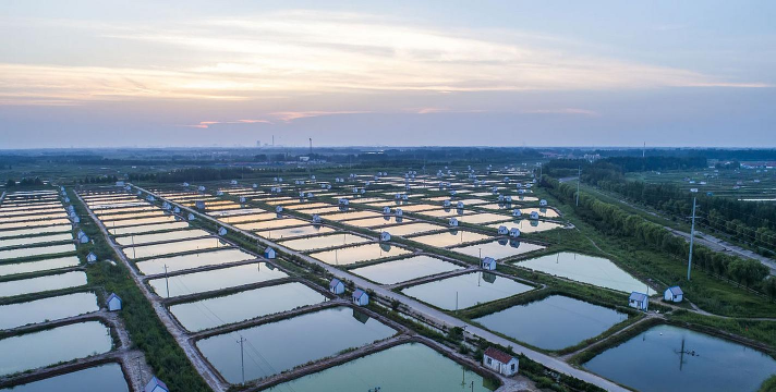 邵阳龙虾养殖基地,选址要点,管理技巧 邵阳龙虾养殖基地,选址要点,管理技巧